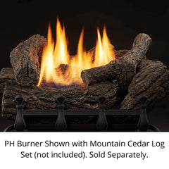 Monessen 24" PH Burner, Millivolt Control - Natural Gas - PH24NV - Pristine Home & Wellness