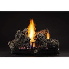 Monessen Mojo 22" IPI Burner with Hi/Low Remote 28,000 - 29,000 BTU - Pristine Home & Wellness