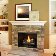 Monessen 36" Exacta Circulating Clean Face Firebox, no interior panels - Pristine Home & Wellness
